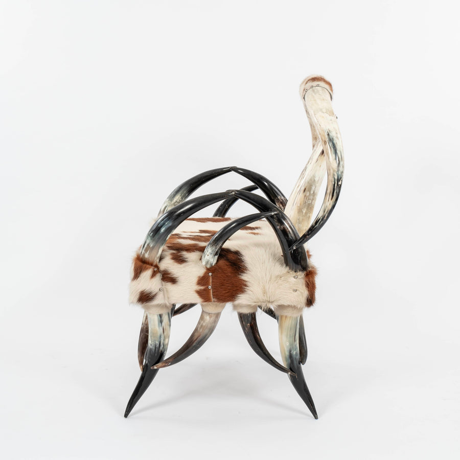 Horn and Hairhide Chair