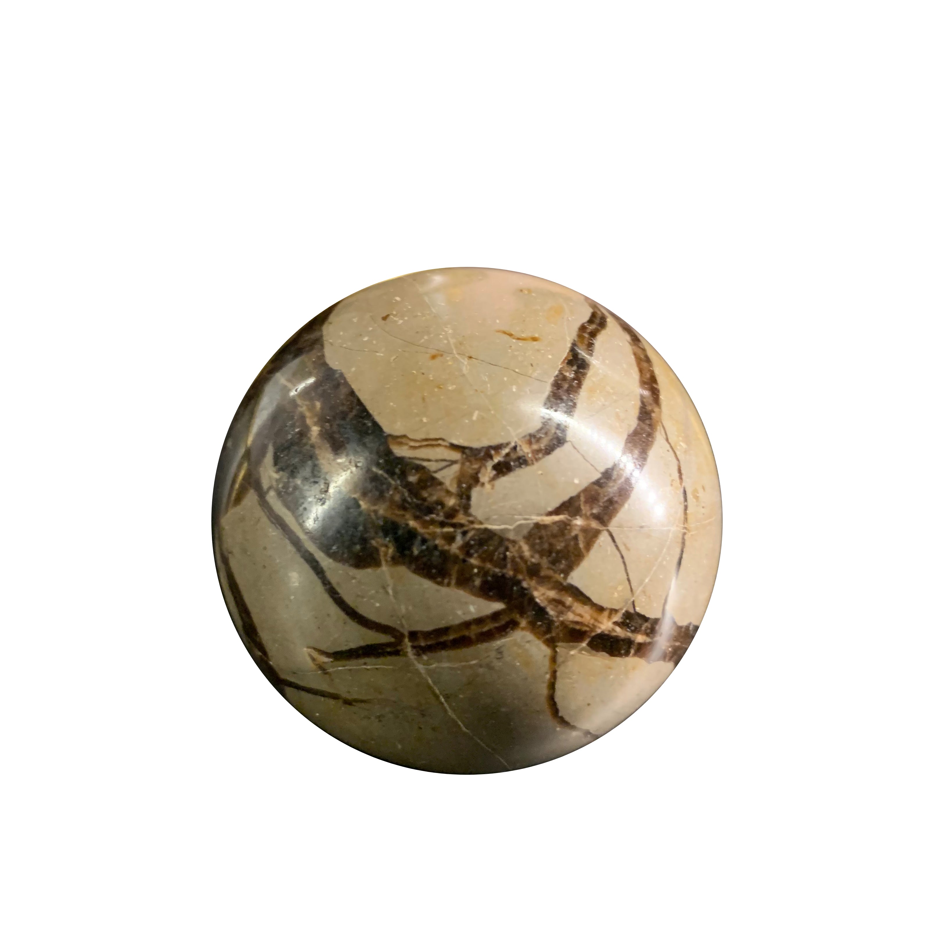 Septarian Agate Sphere – Moxie Interiors