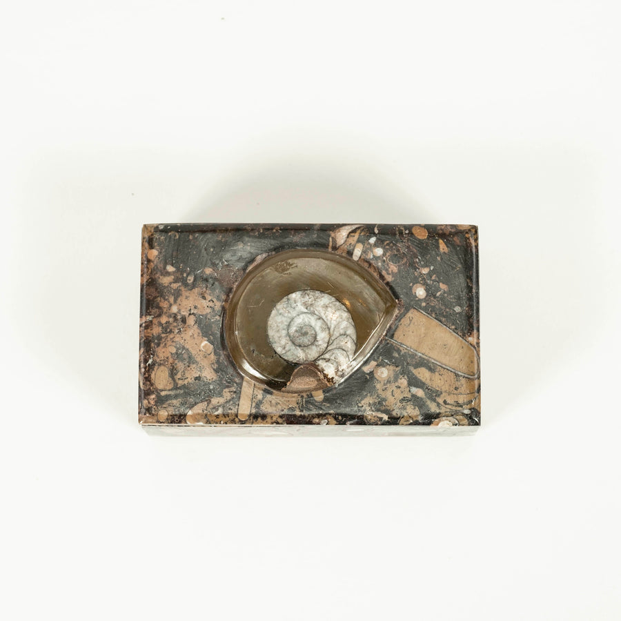 Vintage Rectangular Ammonite Fossil Box