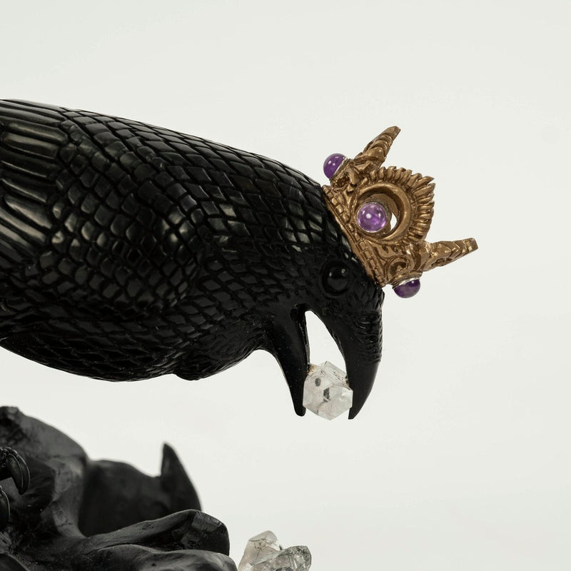Wunderkammer | Curiosities