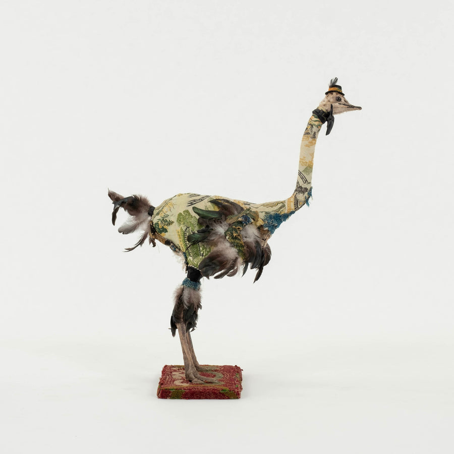 Southern Beasts Ostrich Taxidermy