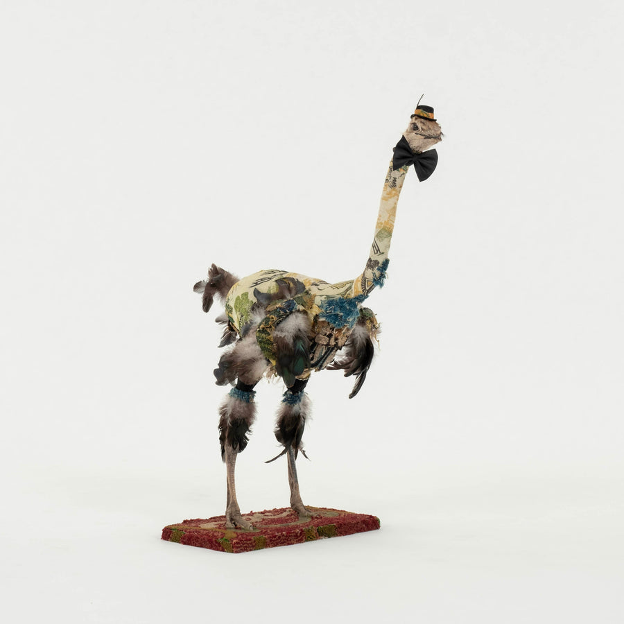 Southern Beasts Ostrich Taxidermy