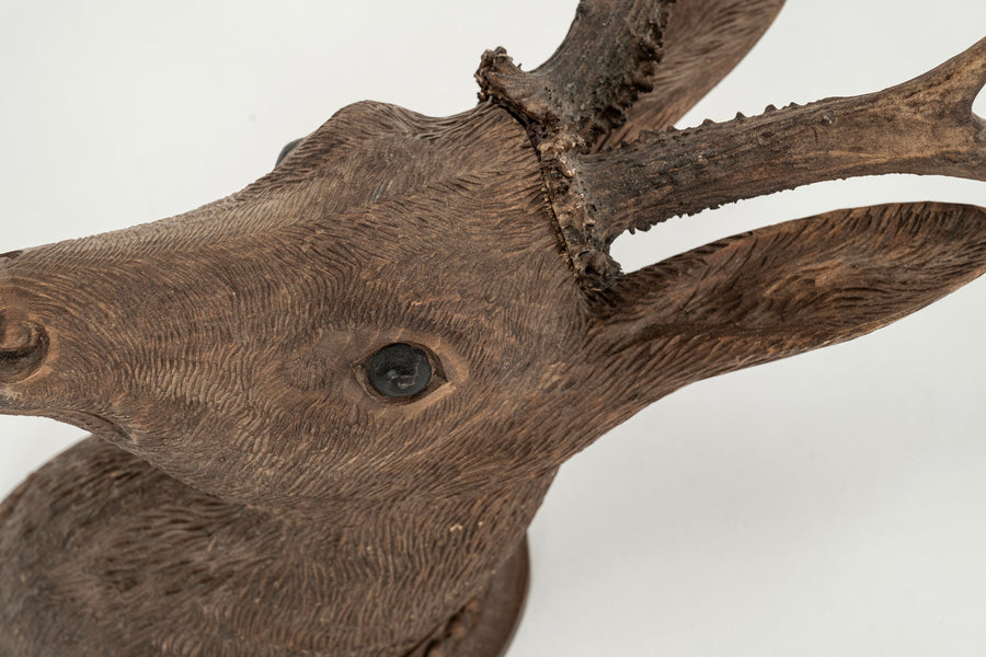 19th Century Black Forest Stag Mount