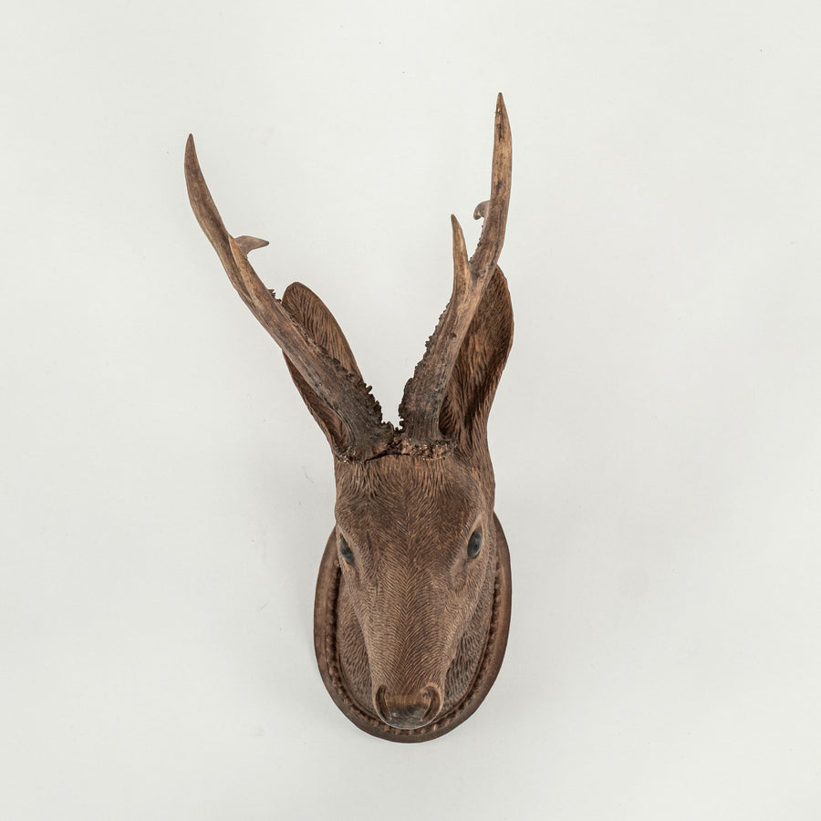 19th Century Black Forest Stag Mount