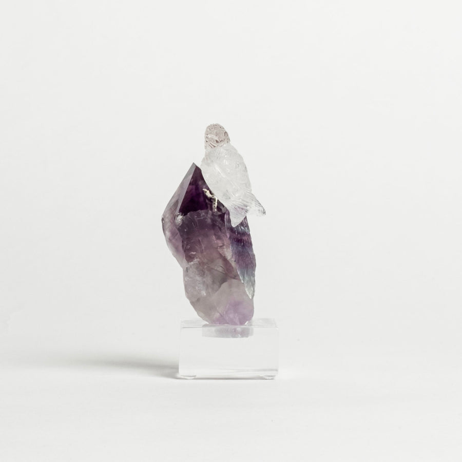 Quartz Parrot on Amethyst Point Base