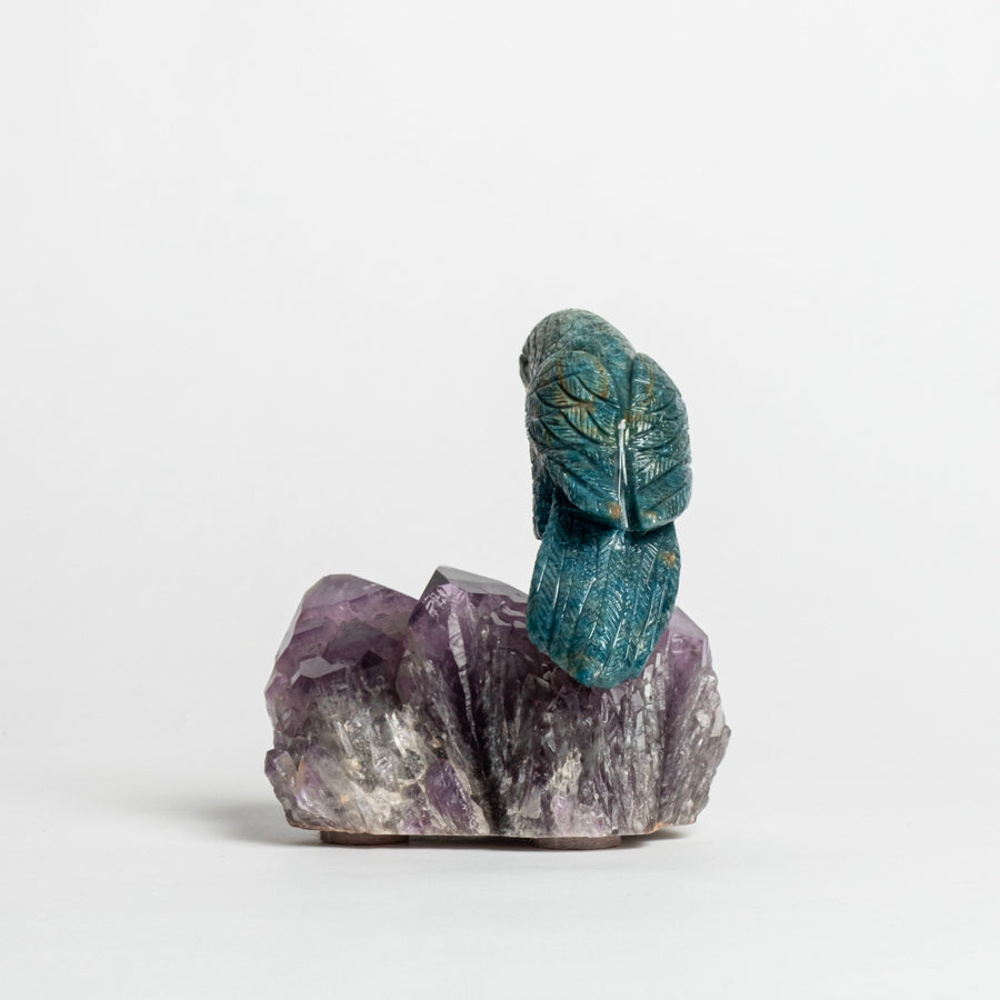 Parrot on Amethyst Base 2497