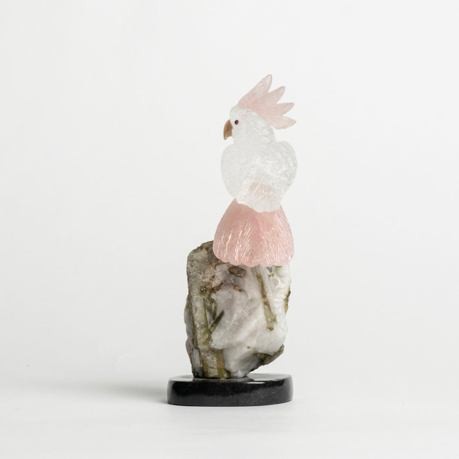 Quartz Cockatiel on White Granite and Tourmaline 2481