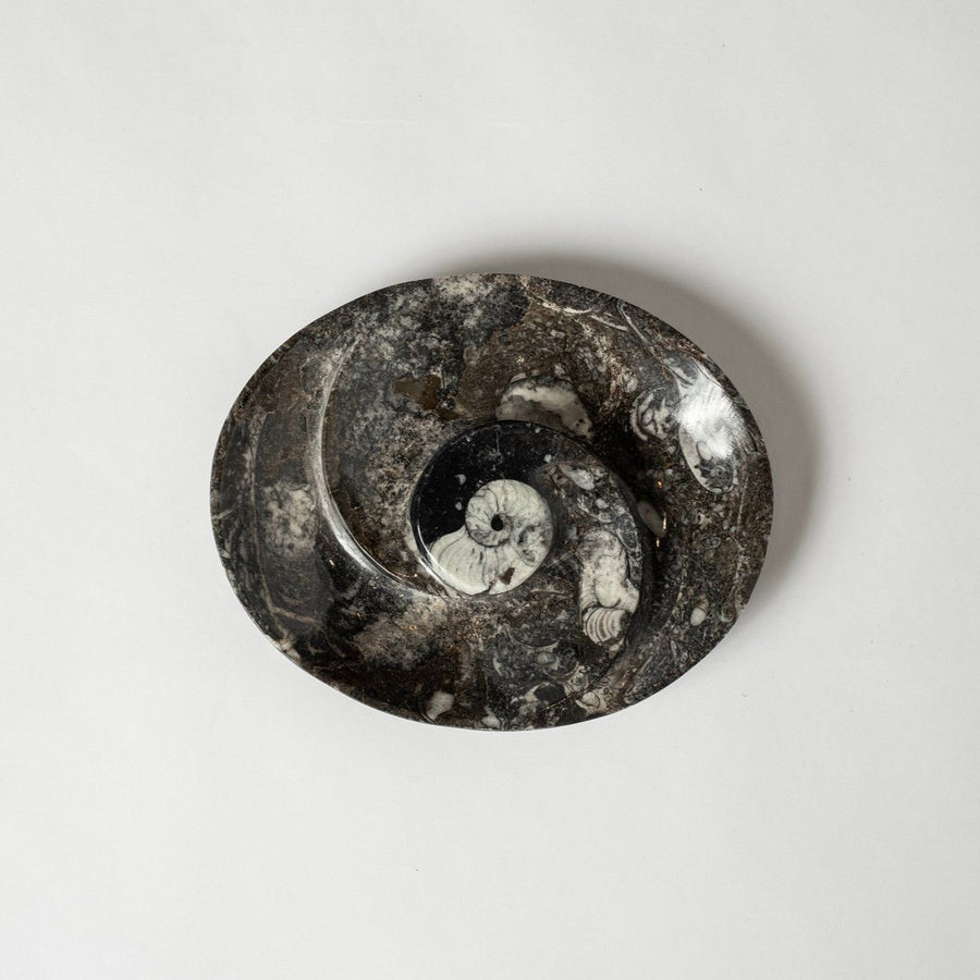 Ammonite Oval Dish