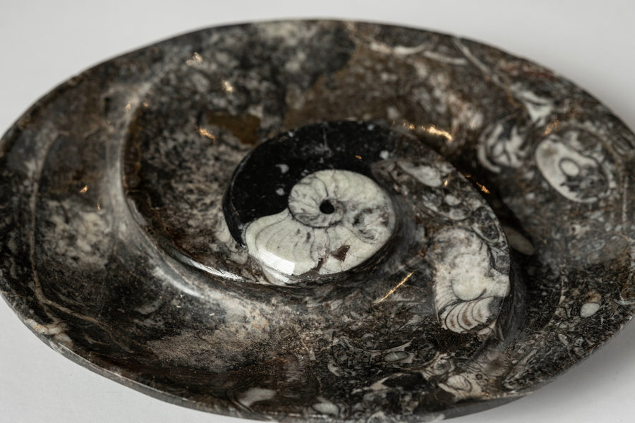 Ammonite Oval Dish