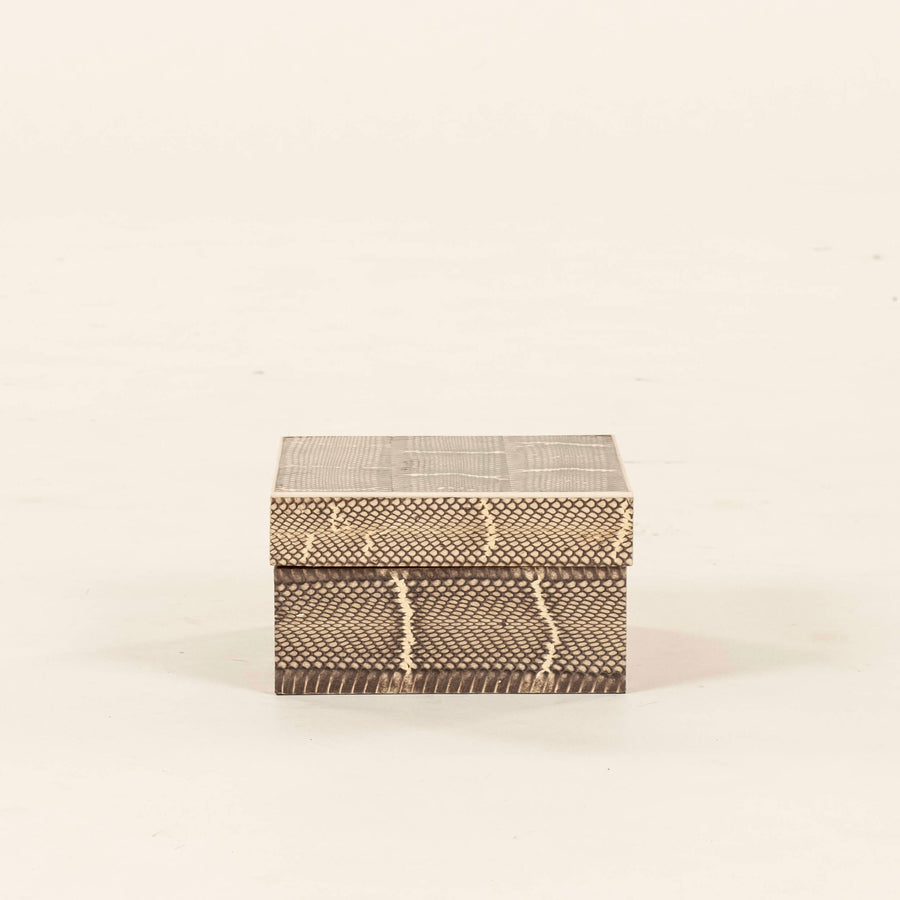 R&Y Augousti Snakeskin Box