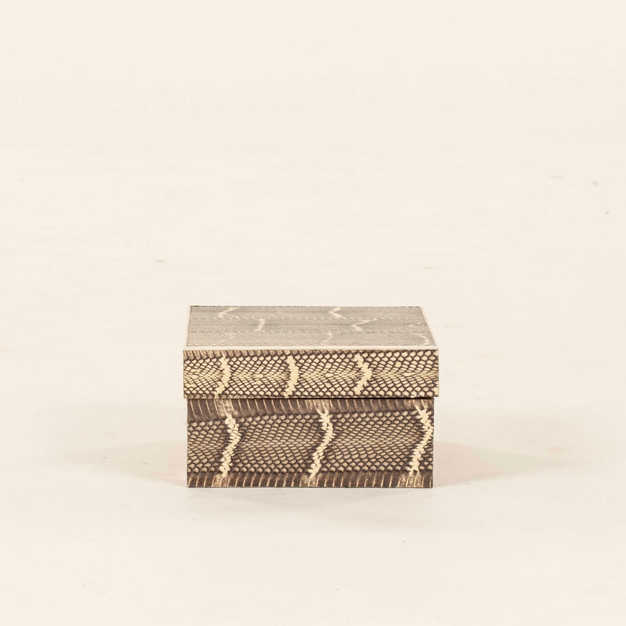 R&Y Augousti Snakeskin Box