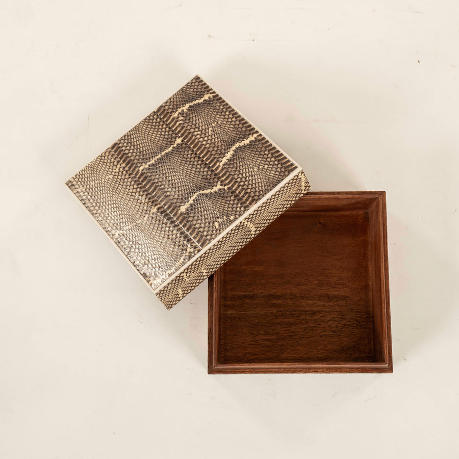 R&Y Augousti Snakeskin Box