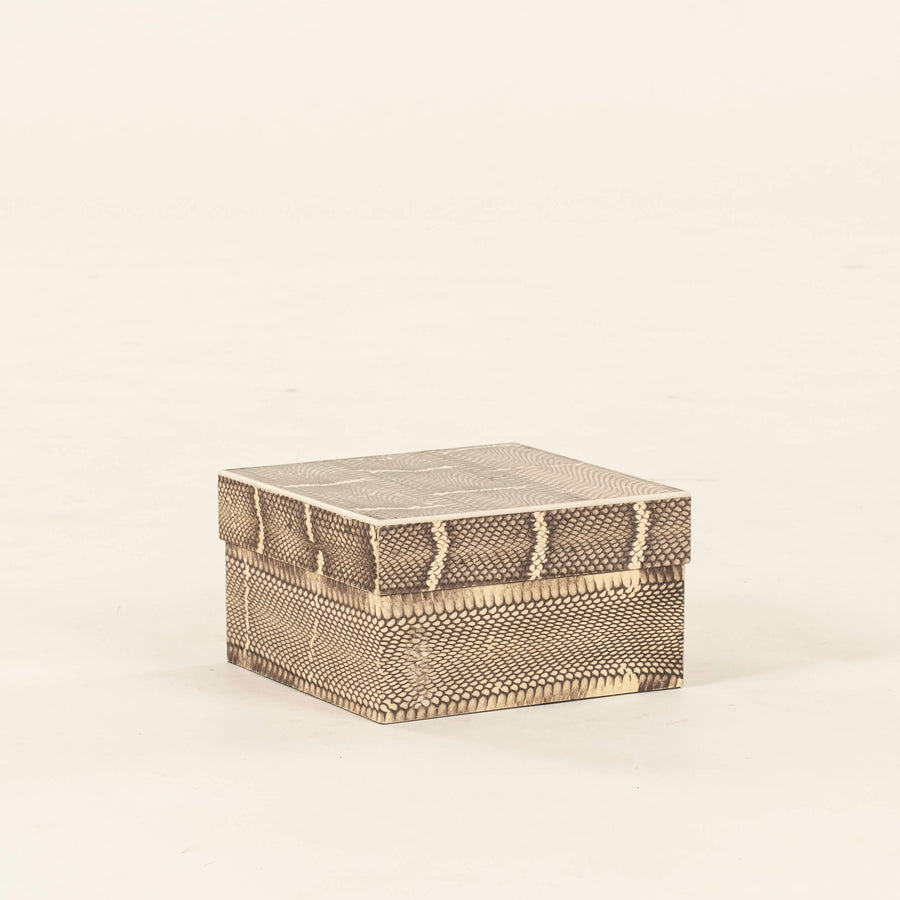 R&Y Augousti Snakeskin Box