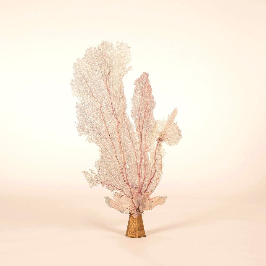 Venice Rising Pink Sea Fan Coral Amethyst Sculpture