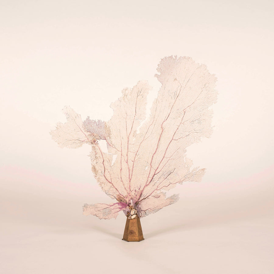 Venice Rising Pink Sea Fan Coral Amethyst Sculpture