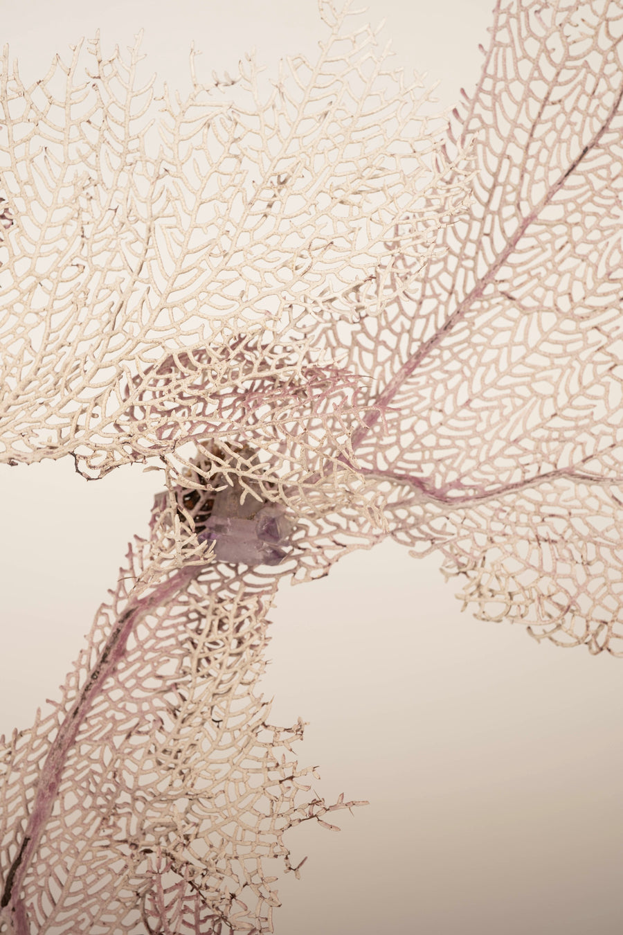 Venice Rising Pink Sea Fan Coral Amethyst Sculpture