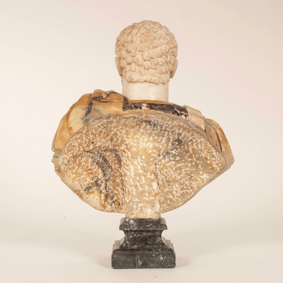 Marble Hadrian Roman Brecchia Marble Bust