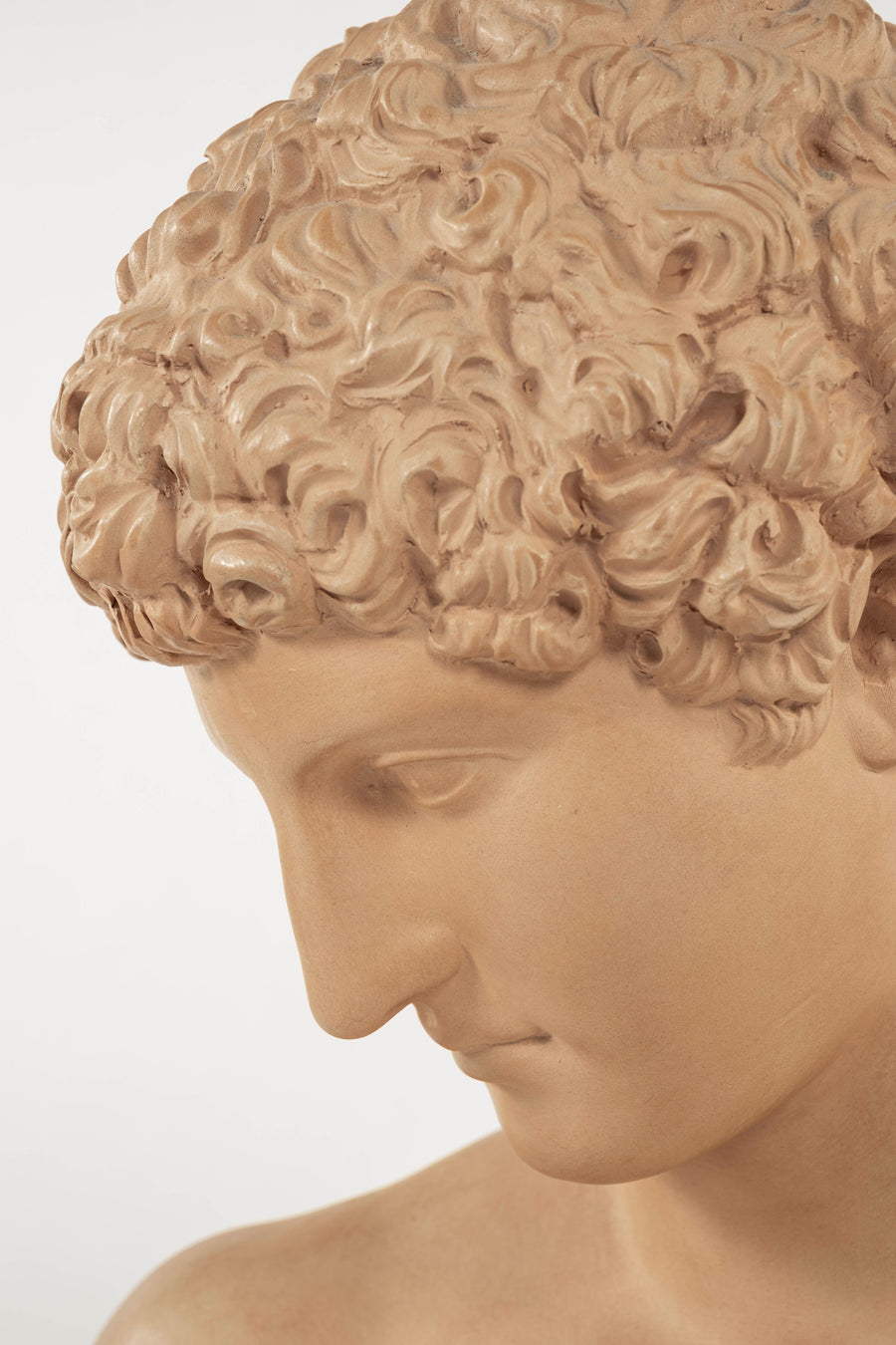Vintage Terra Cotta Antinous Bust
