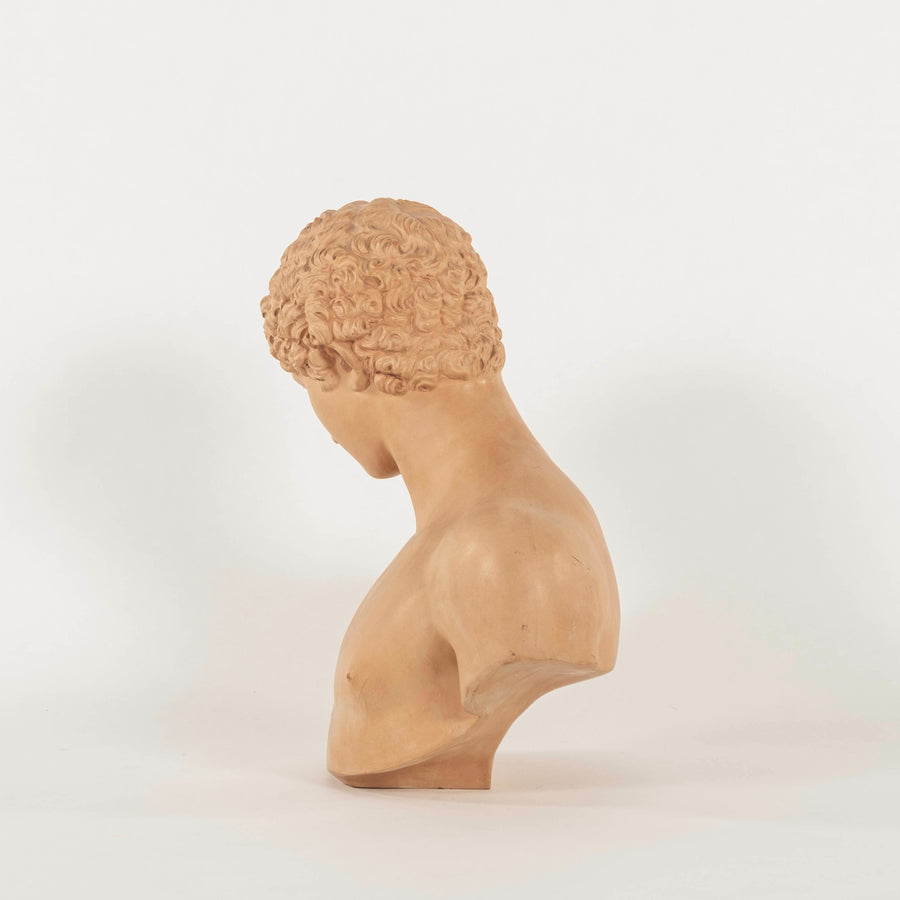 Vintage Terra Cotta Antinous Bust
