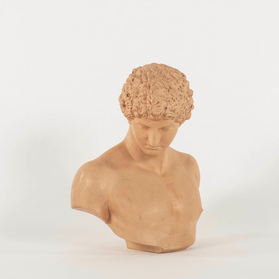 Vintage Terra Cotta Antinous Bust