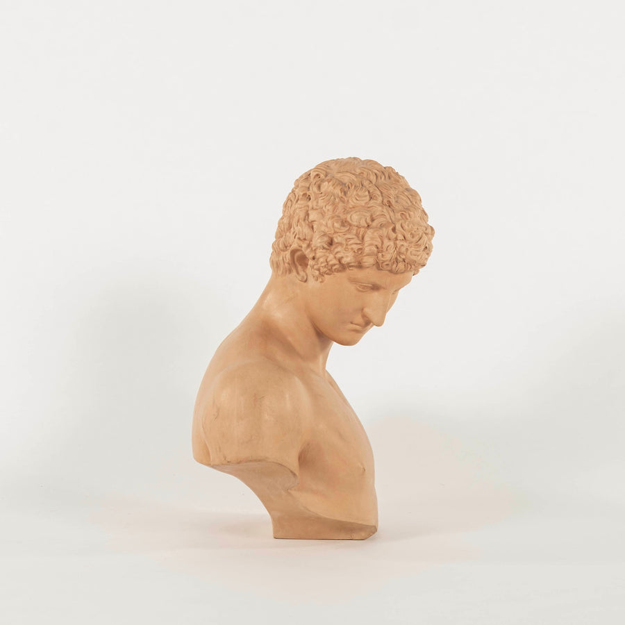 Vintage Terra Cotta Antinous Bust