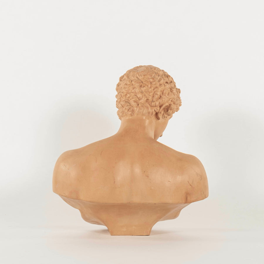 Vintage Terra Cotta Antinous Bust