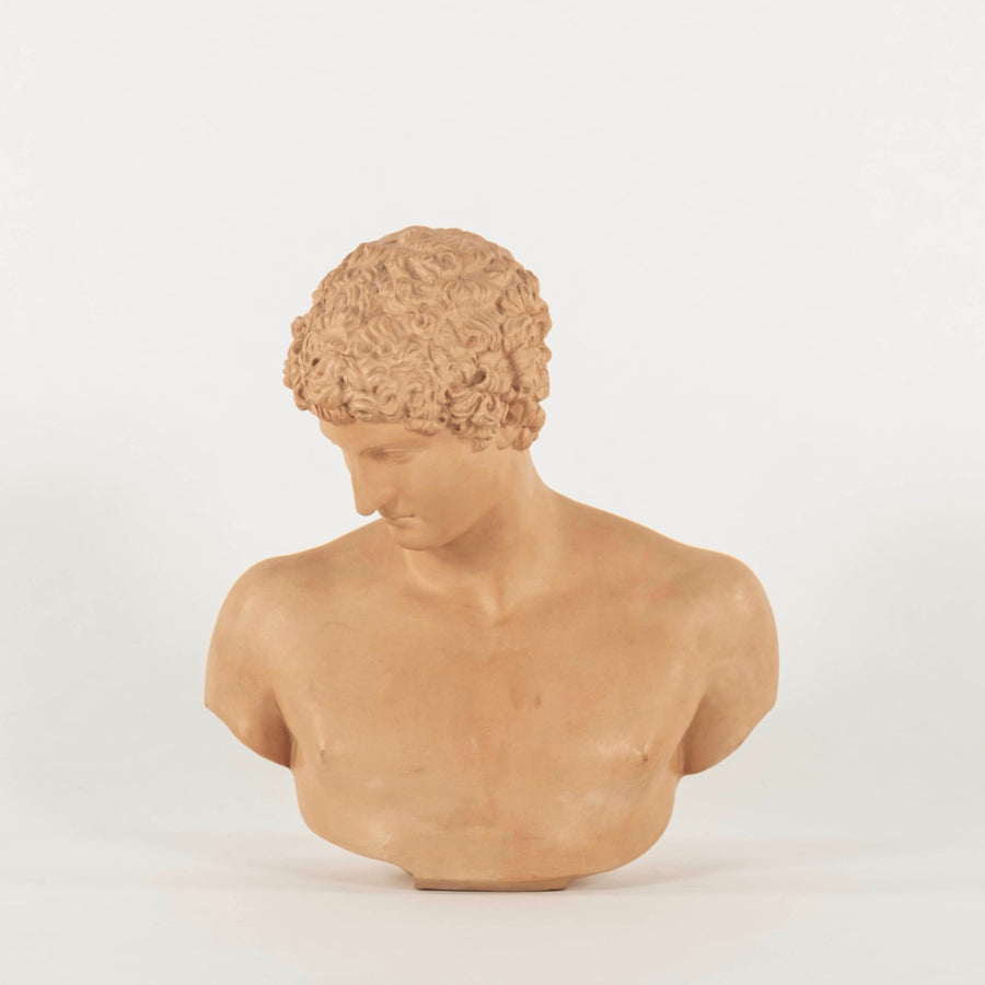 Vintage Terra Cotta Antinous Bust