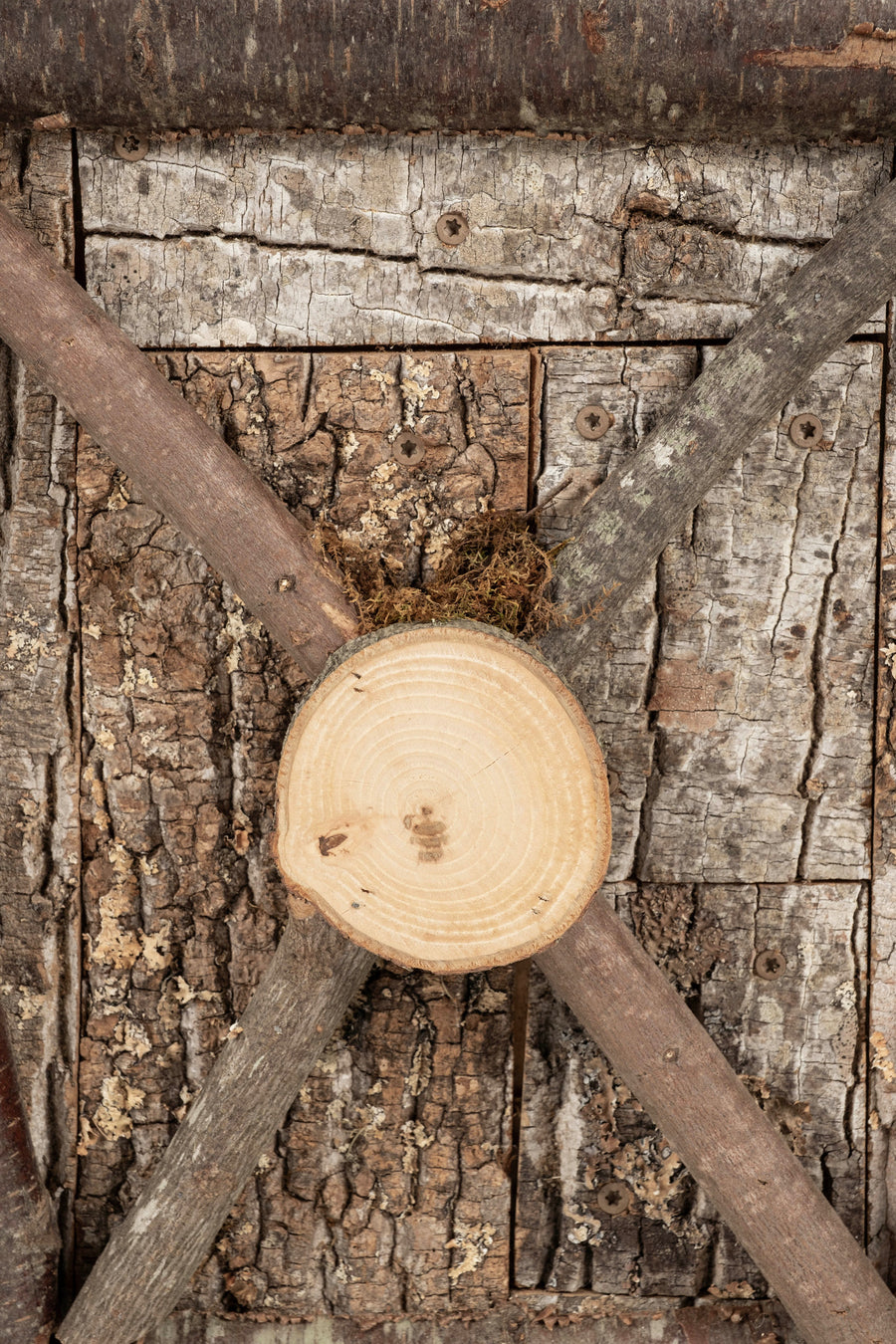 Small Raleigh Adams Artisanal Trophy Woodlands Planter Boxe