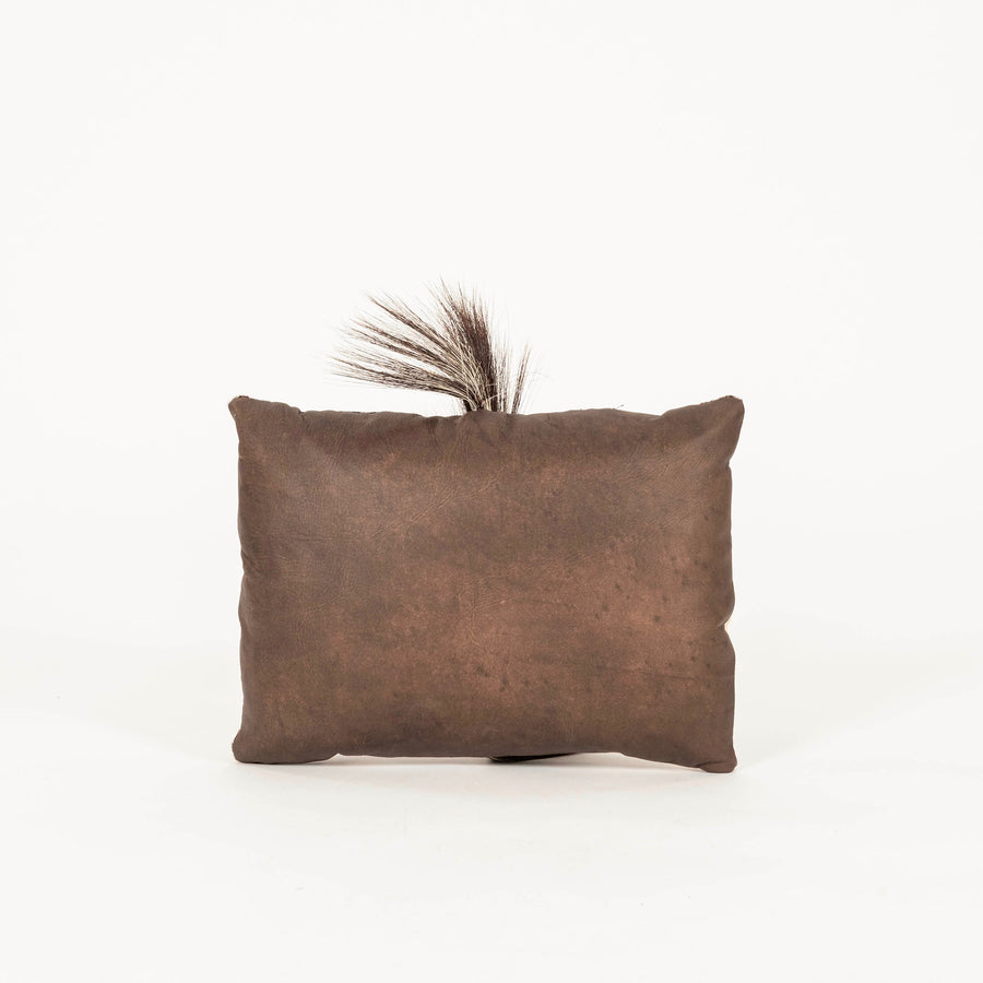 Zebra Hide Pillow