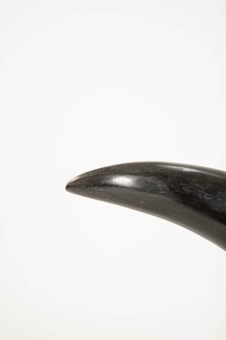 Pair Black Marble and Horn Bookends