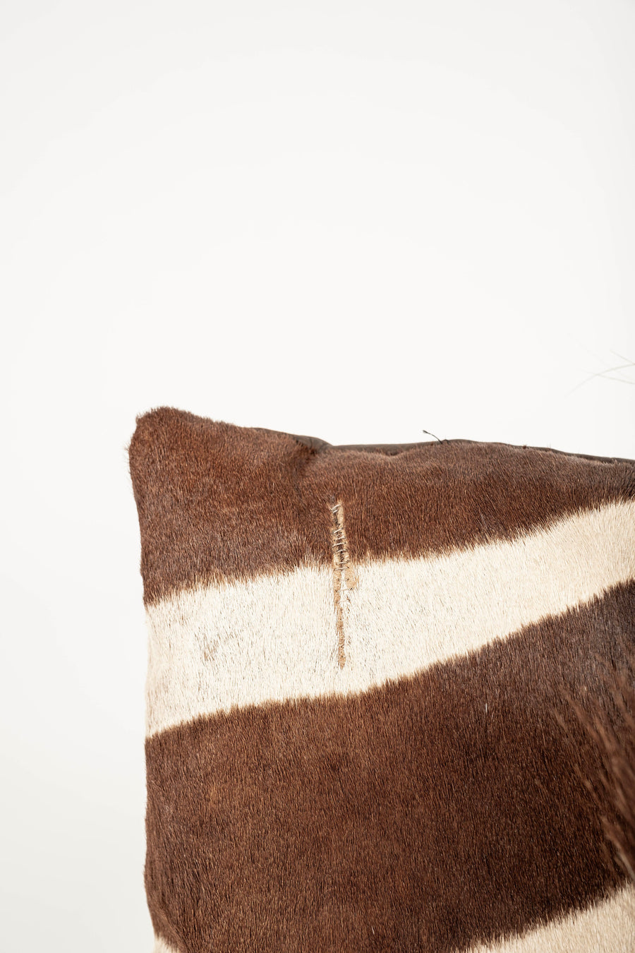 Zebra Hide Pillow