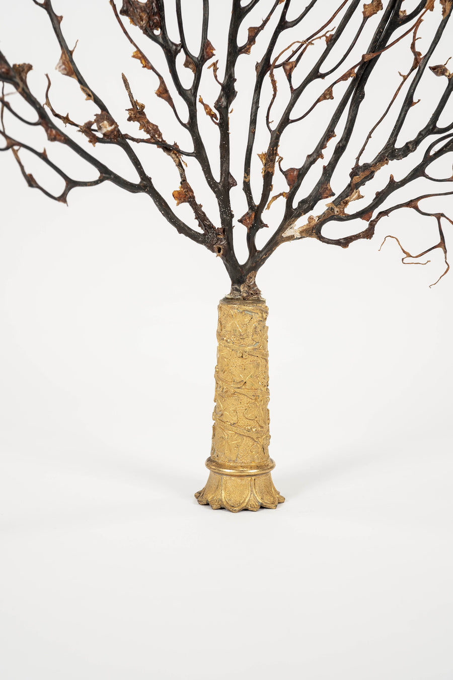 Black Coral Sea Fan Sculpture~ Napoleon III Bronze Doré Fragment