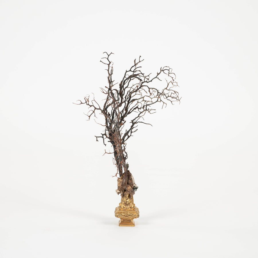 Black Coral Sea Fan Sculpture~ Napoleon III Bronze Doré Fragment
