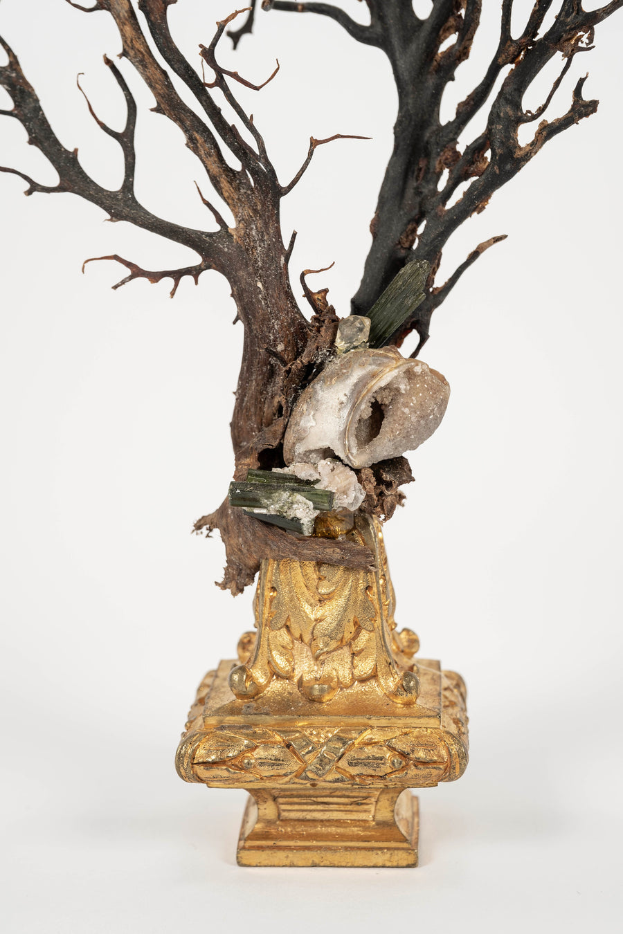 Black Coral Sea Fan Sculpture~ Napoleon III Bronze Doré Fragment