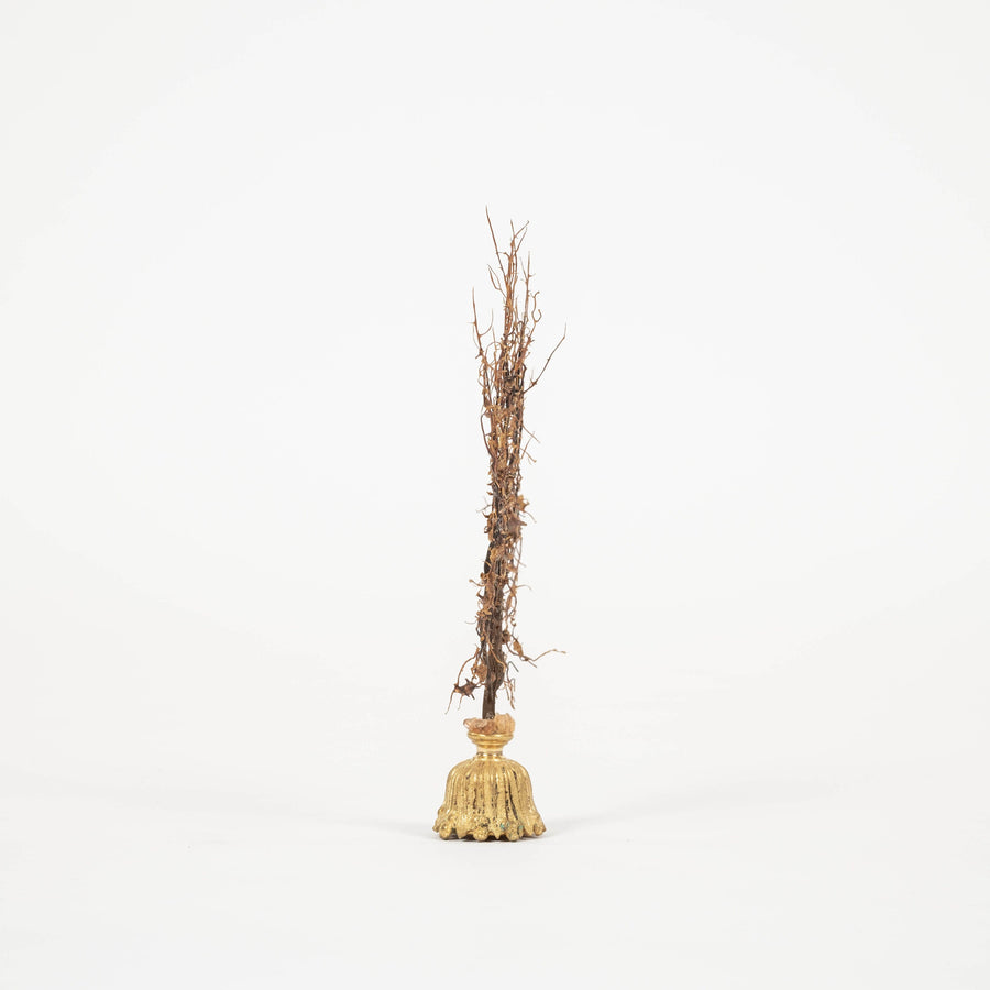 Black Coral Sea Fan Sculpture~ Napoleon III Bronze Doré Fragment