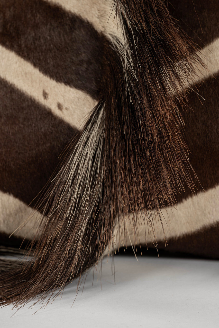 Zebra Hide Pillow