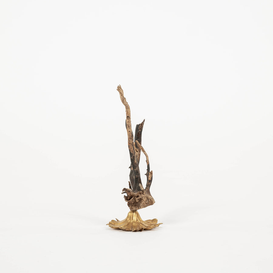 Black Coral Sea Fan Sculpture~ Napoleon III Bronze Doré Fragment