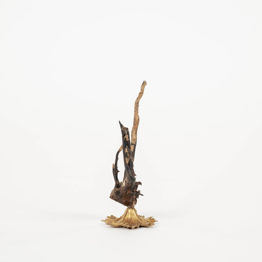 Black Coral Sea Fan Sculpture~ Napoleon III Bronze Doré Fragment