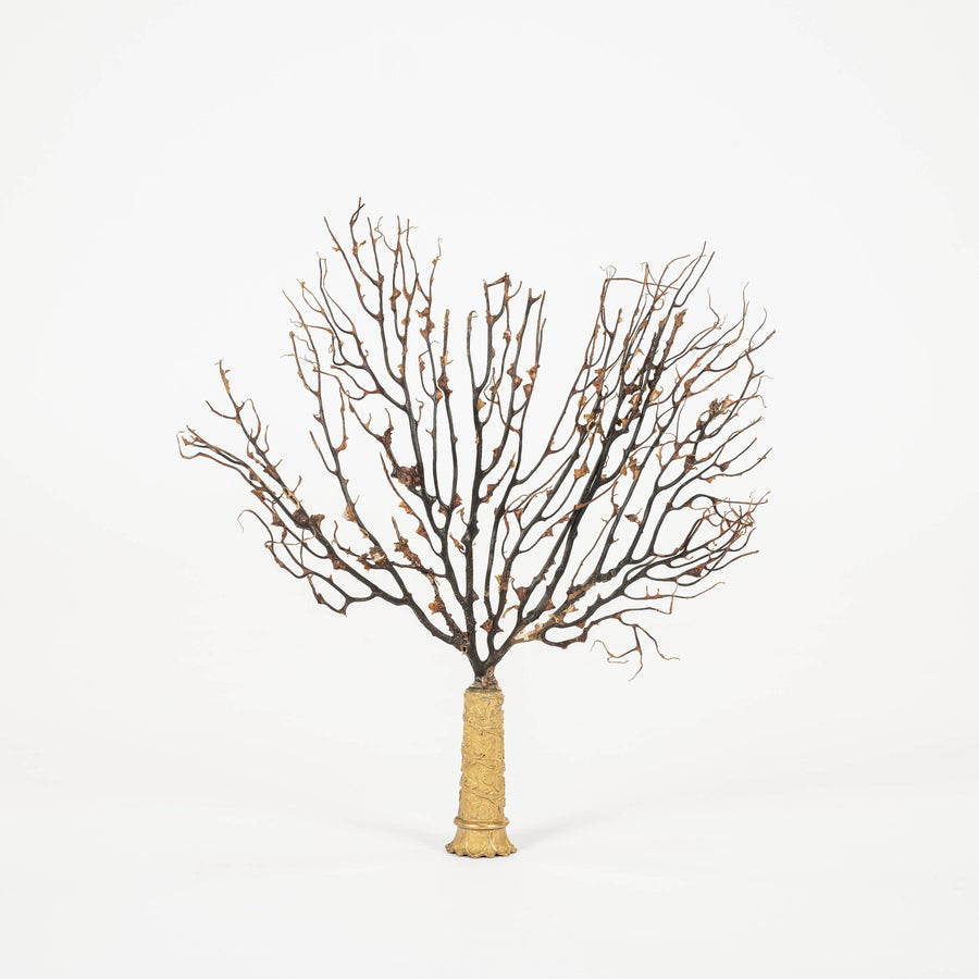 Black Coral Sea Fan Sculpture~ Napoleon III Bronze Doré Fragment