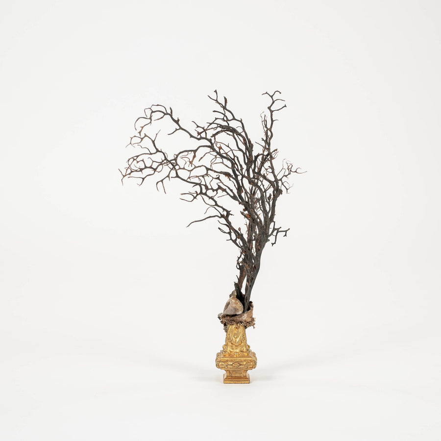 Black Coral Sea Fan Sculpture~ Napoleon III Bronze Doré Fragment
