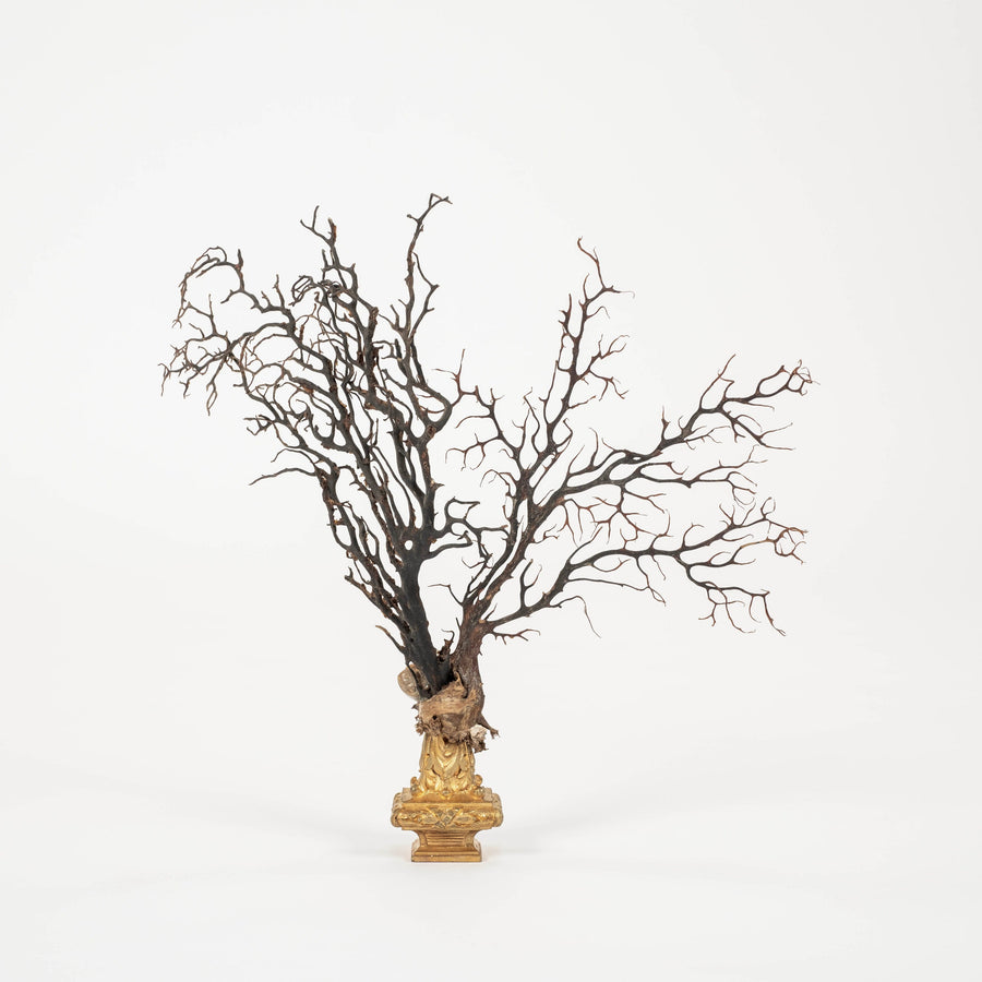 Black Coral Sea Fan Sculpture~ Napoleon III Bronze Doré Fragment