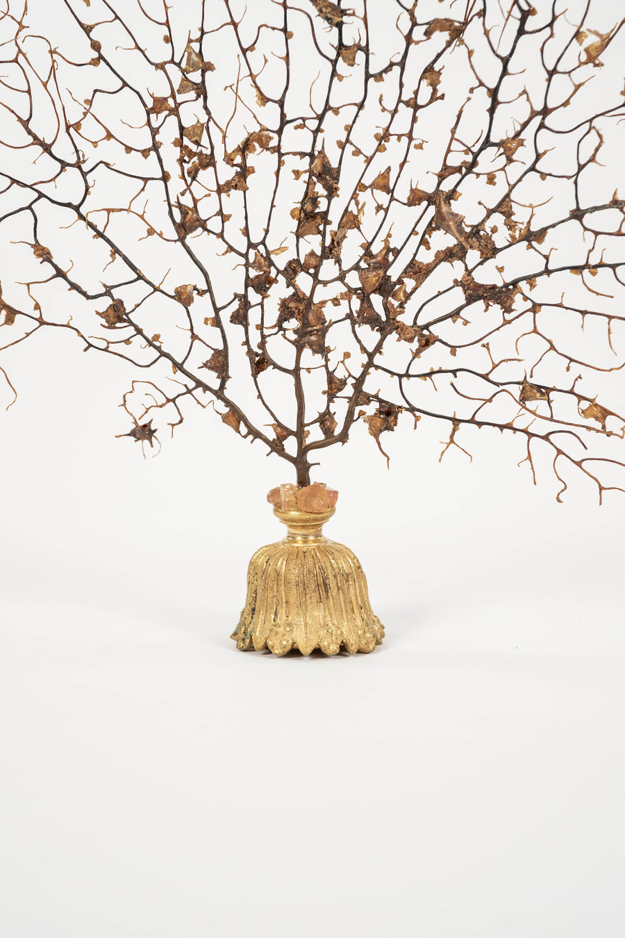 Black Coral Sea Fan Sculpture~ Napoleon III Bronze Doré Fragment