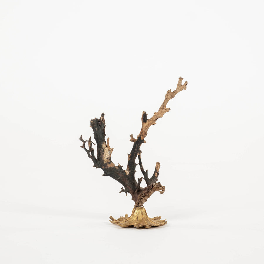 Black Coral Sea Fan Sculpture~ Napoleon III Bronze Doré Fragment