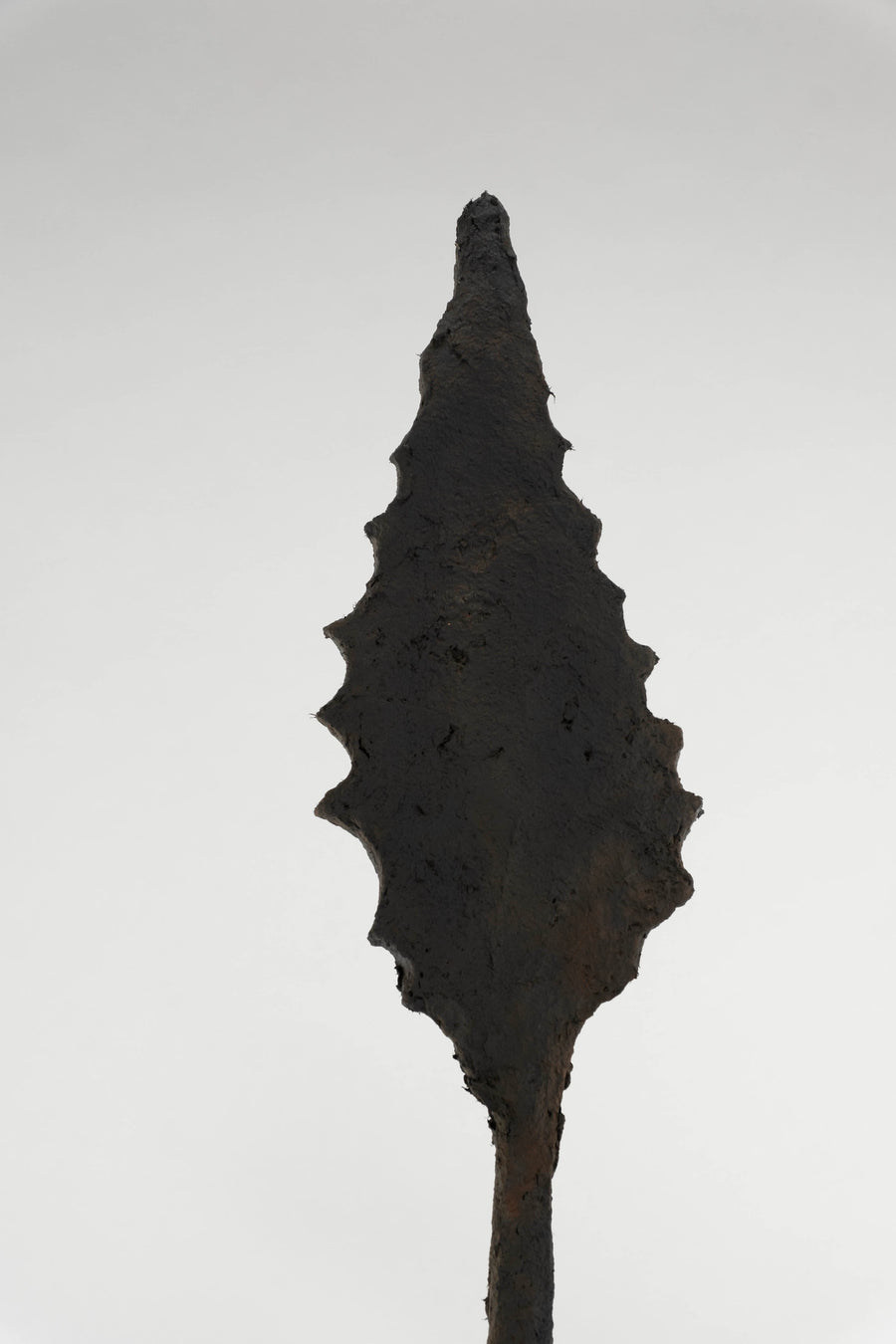 Blooming Aloe Vera Silhouette Sculpture