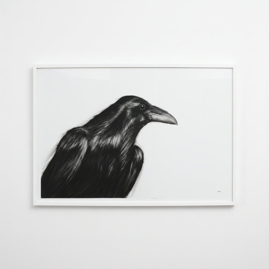Eric Nash Charcoal Crow Artwork – Moxie Interiors