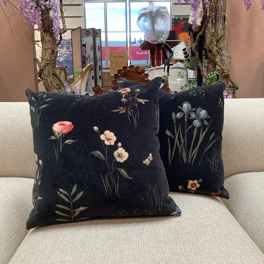 Pair Charlap Hyman & Herrero ~ Pilar Almon Primavera Black Velvet Pillows
