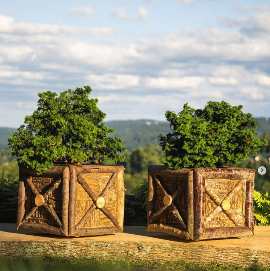 Pair Raleigh Adams Artisanal Pisgah  Woodlands Planter Boxes