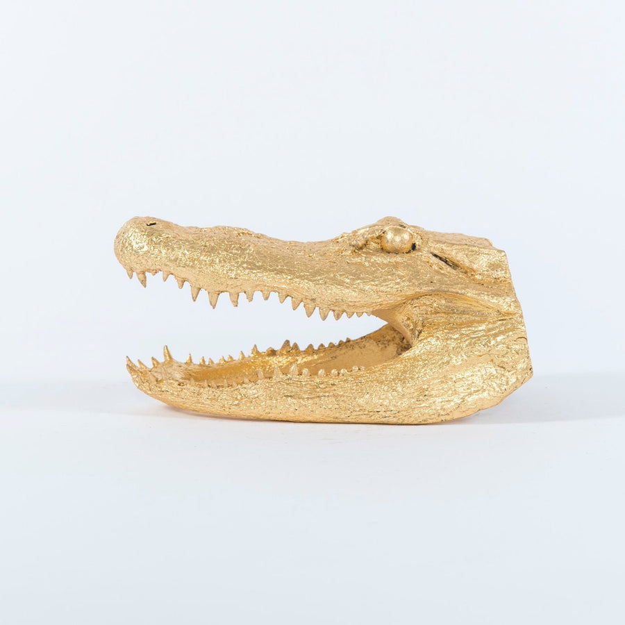 Gilded  Crocodile Taxidermy Head