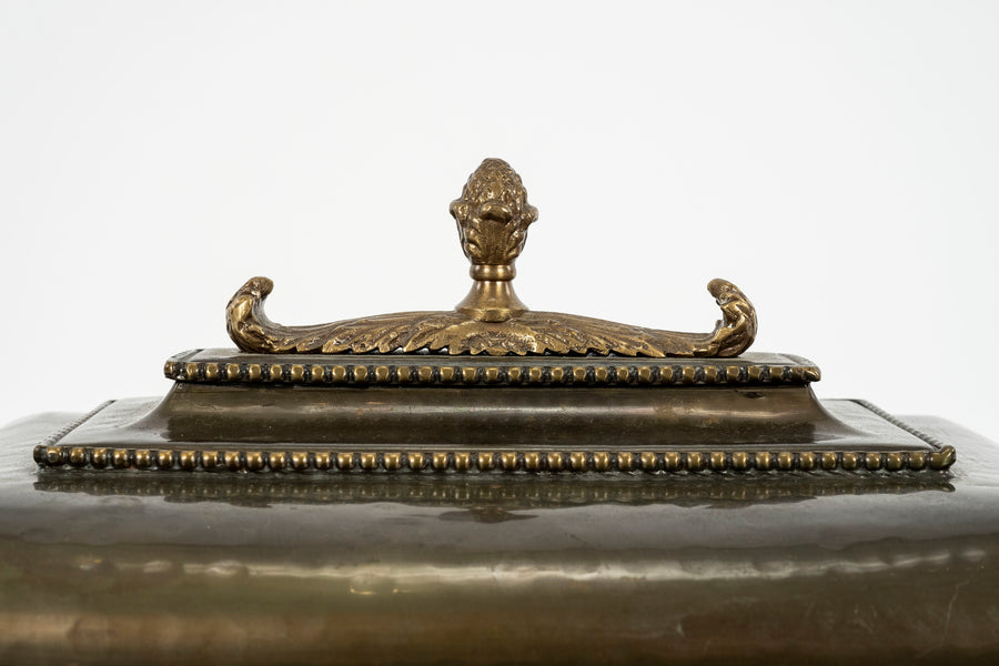 Brass Box with Lions