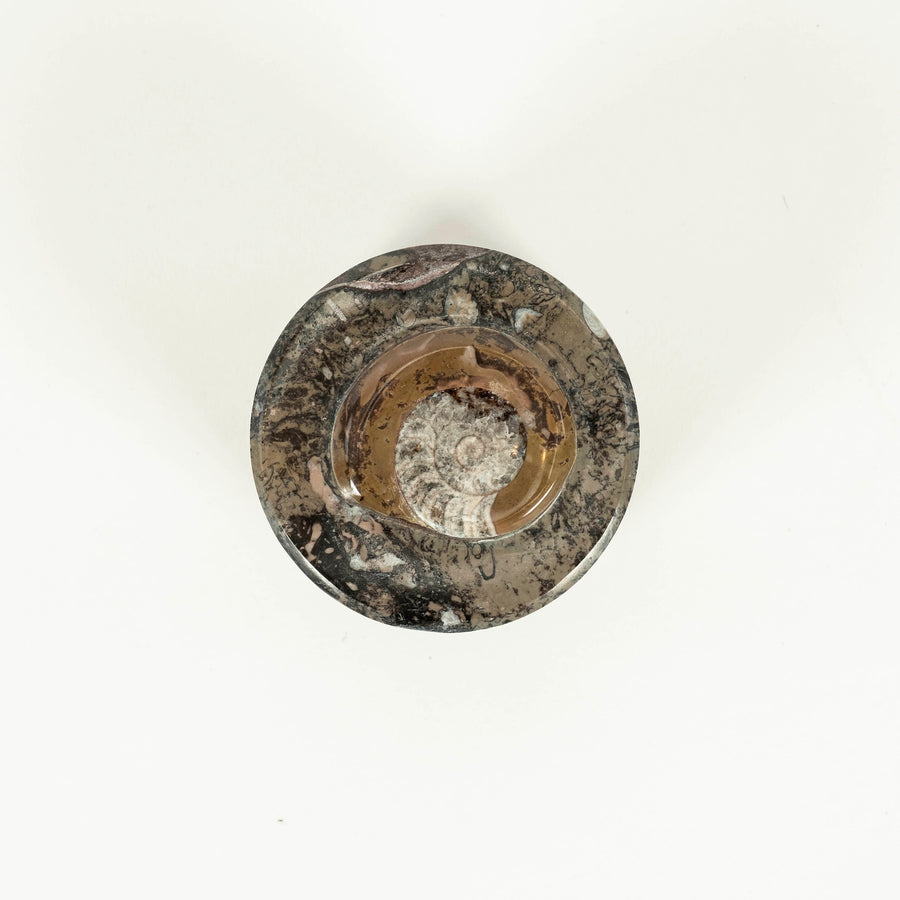 Vintage Round Ammonite Fossil Box